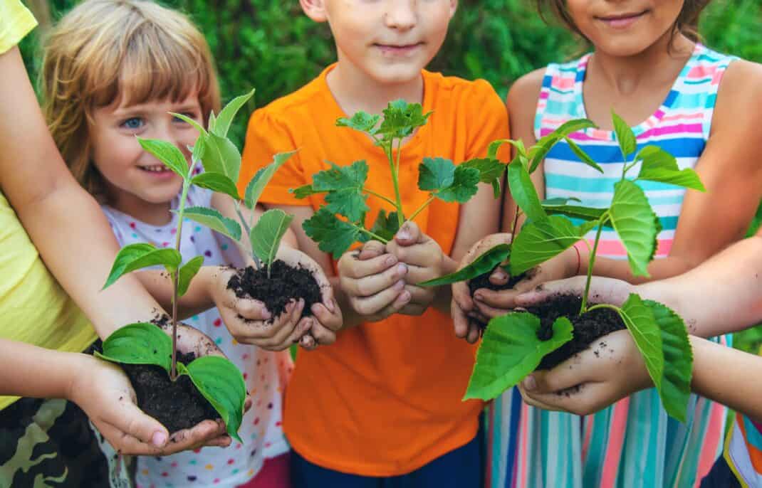 toddlers holding plants